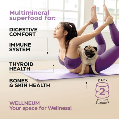 Mushroom Coffee, Fruits & Greens, Beetroot, Magnesium, Previotic Fiber