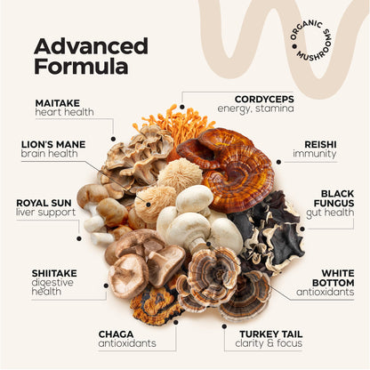 Mushroom Coffee, Fruits & Greens, Beetroot, Magnesium, Previotic Fiber