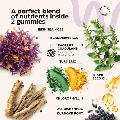 Mushroom Coffee, Fruits & Greens, Beetroot, Magnesium, Previotic Fiber