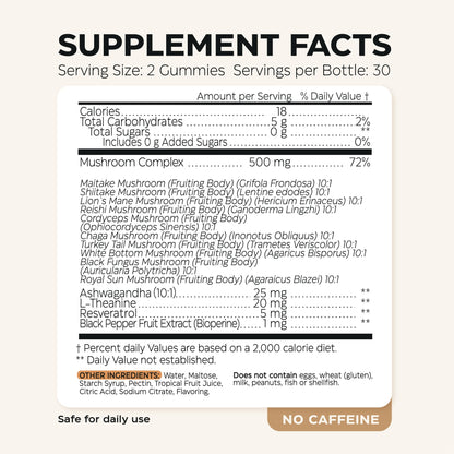 Mushroom Coffee, Fruits & Greens, Beetroot, Magnesium, Previotic Fiber