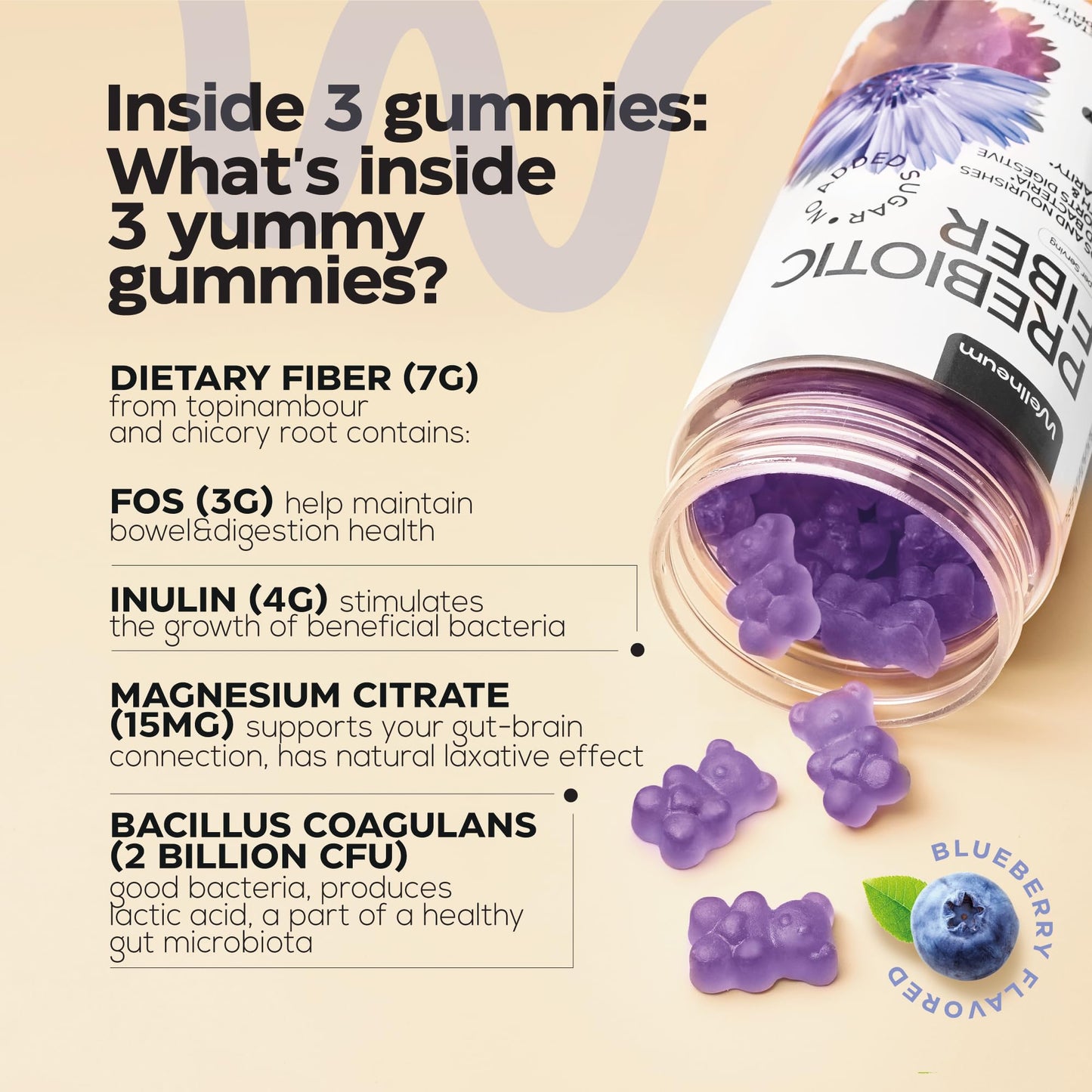 Mushroom Coffee, Fruits & Greens, Beetroot, Magnesium, Previotic Fiber